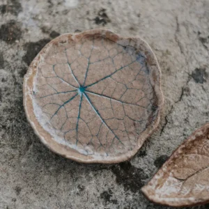 Platito Biribil Capuchina